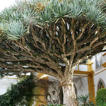 Casa Do Castelo
